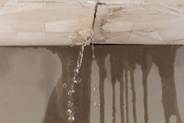 Professional Water Damage Repair technician working in Bunceton, MO